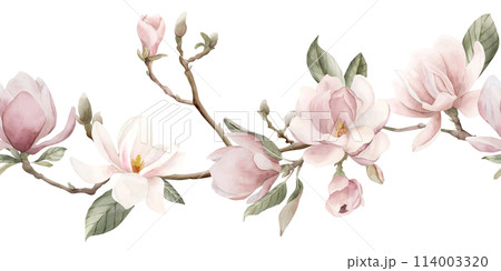 Light pink magnolia flowers, buds, sprigs and leaves. Seamless border of spring blossom. Floral watercolor illustration hand painted isolated on white background for print, label, cosmetic packaging. 114003320