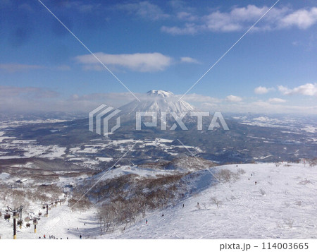 landscape 114003665