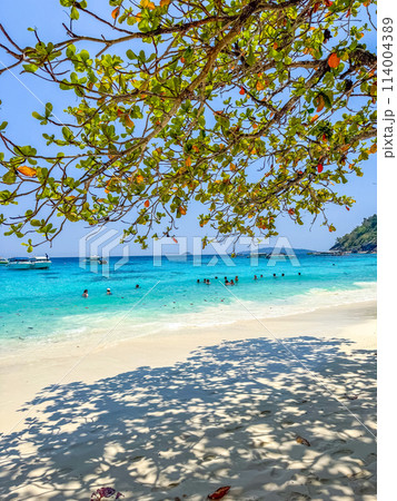 View of Similan island in Phang Nga, Thailand 114004389