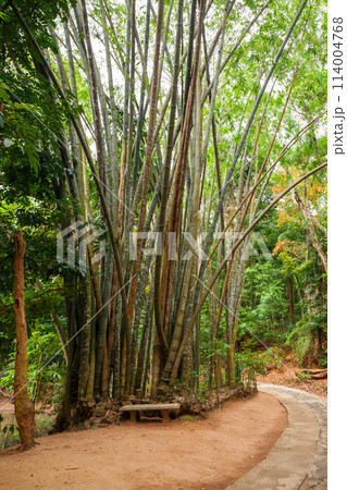 Udawattakele Royal Forest Park Udawattakele Royal Forest Park 114004768