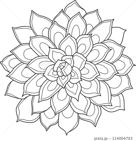 Succulent houseplant for coloring. Print shape home plant urban tropical jungle decor. 114004783