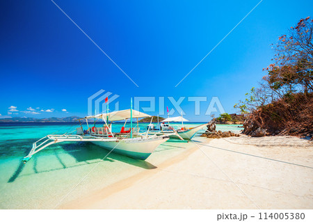 Traditional bangka boat in Philippines 114005380