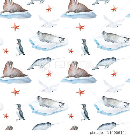 Watercolor seamless pattern with illustration of arctic sea animals seal, white seagull, walrus on floating ice, narwhal ,isolated on white background. For children's things, wallpaper Watercolor seamless pattern with illustration of arctic sea animals seal, white seagull, walrus on floating ice, narwhal ,isolated on white background. For children's things, wallpaper 114006144