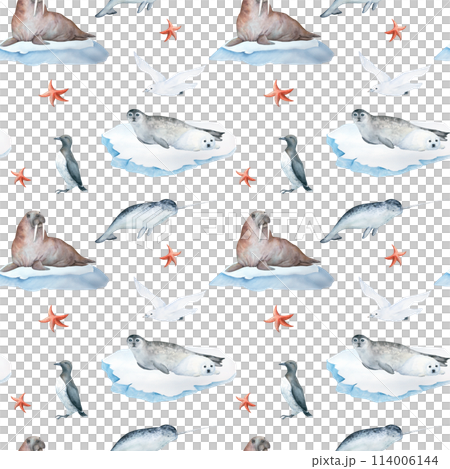 Watercolor seamless pattern with illustration of arctic sea animals seal, white seagull, walrus on floating ice, narwhal ,isolated on white background. For children's things, wallpaper Watercolor seamless pattern with illustration of arctic sea animals seal, white seagull, walrus on floating ice, narwhal ,isolated on white background. For children's things, wallpaper 114006144