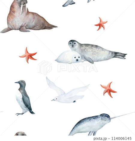 Watercolor seamless pattern with illustration of arctic sea animals seal, white seagull, starfish, guillemot, narwhal and walrus, isolated on white background. For children's things, wallpaper Watercolor seamless pattern with illustration of arctic sea animals seal, white seagull, starfish, guillemot, narwhal and walrus, isolated on white background. For children's things, wallpaper 114006145