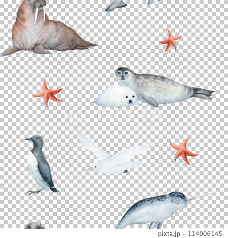 Watercolor seamless pattern with illustration of arctic sea animals seal, white seagull, starfish, guillemot, narwhal and walrus, isolated on white background. For children's things, wallpaper Watercolor seamless pattern with illustration of arctic sea animals seal, white seagull, starfish, guillemot, narwhal and walrus, isolated on white background. For children's things, wallpaper 114006145