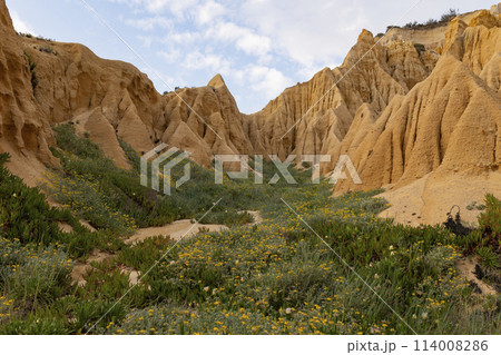 A rocky, barren landscape with a few patches of green grass and yellow flowers A rocky, barren landscape with a few patches of green grass and yellow flowers 114008286