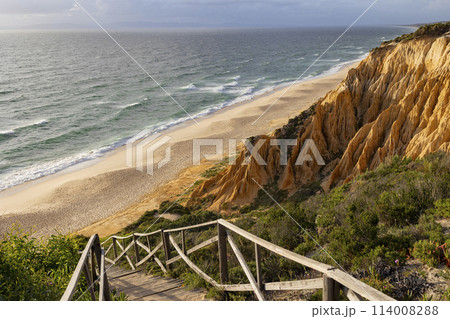 A beach with a wooden walkway leading to the water 114008288