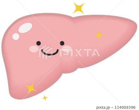 元気な肝臓 元気な肝臓 114008396