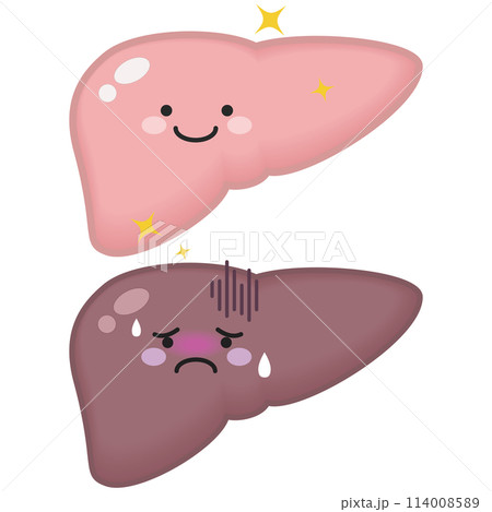 健康な肝臓と弱った肝臓 健康な肝臓と弱った肝臓 114008589