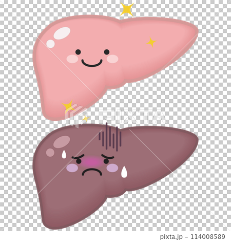 Healthy and weakened liver Healthy and weakened liver 114008589