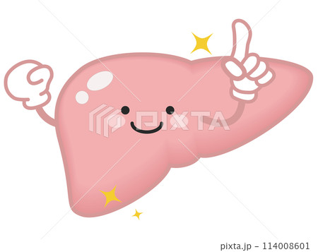 元気な肝臓 114008601