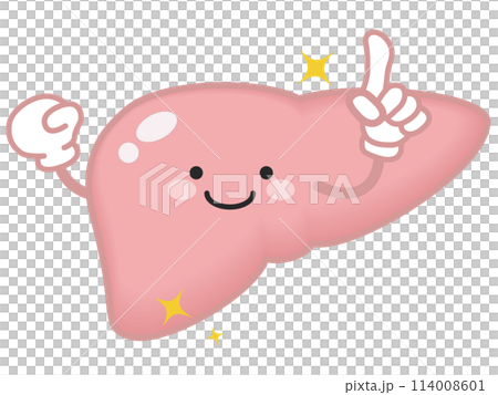 元気な肝臓 114008601