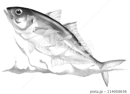 水面をジャンプする生きの良い魚アジのイラストのイラスト素材