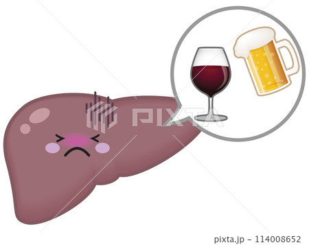 肝臓にも脂肪がついている肝臓 114008652