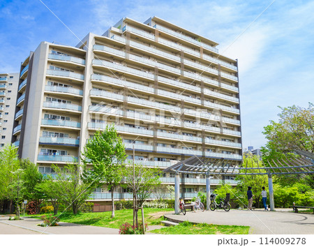 大型マンションと新緑の公園 114009278
