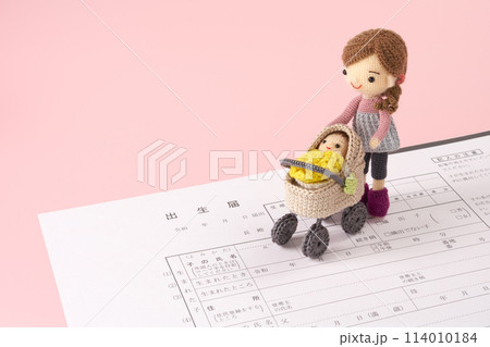 出生届イメージ 114010184