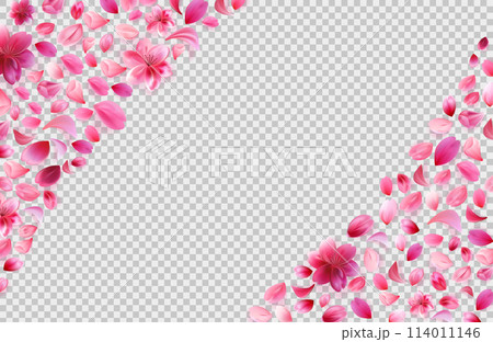 Sakura petals png corners lying on checkered grey background. Rose flower frame. Stock vector illustration isolated in realistic style. 114011146