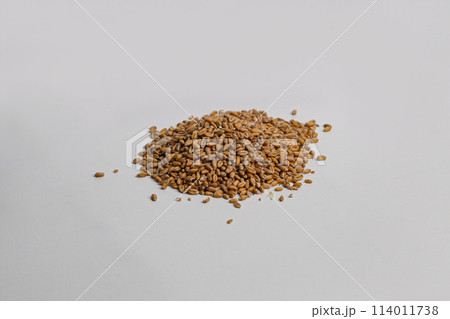 wheat grains isolated on white background represents the wheat food crisis 2023, Concept of food crisis in Europe. wheat grains isolated on white background represents the wheat food crisis 2023, Concept of food crisis in Europe. 114011738