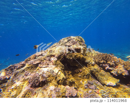 八重山の海 八重山の海 114011968
