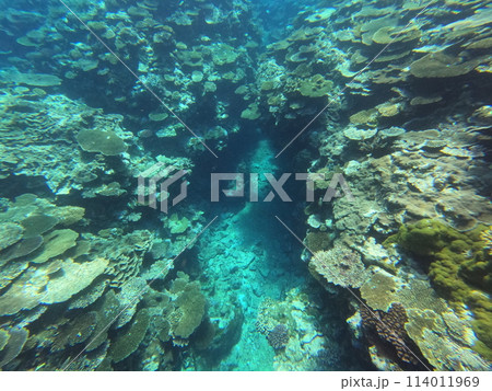 八重山の海 八重山の海 114011969