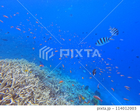 八重山の海 八重山の海 114012003