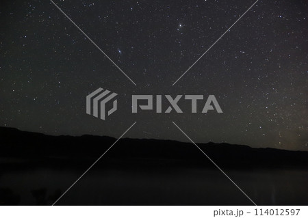 ヤマネコと天の川 ヤマネコと天の川 114012597