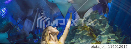 Young woman touches a stingray fish in an oceanarium tunnel BANNER, LONG FORMAT Young woman touches a stingray fish in an oceanarium tunnel BANNER, LONG FORMAT 114012915
