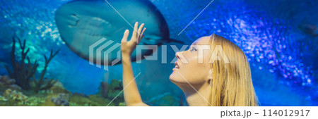 Young woman touches a stingray fish in an oceanarium tunnel BANNER, LONG FORMAT 114012917