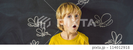 The boy is bitten by mosquitoes on a dark background. On the blackboard with chalk painted mosquitoes BANNER, LONG FORMAT 114012918