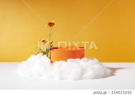 A podium in orange color with blank space displayed with two branches of Calendula flower and clouds. Mock-up for exhibitions or presentation of cosmetic products or packaging A podium in orange color with blank space displayed with two branches of Calendula flower and clouds. Mock-up for exhibitions or presentation of cosmetic products or packaging 114013250