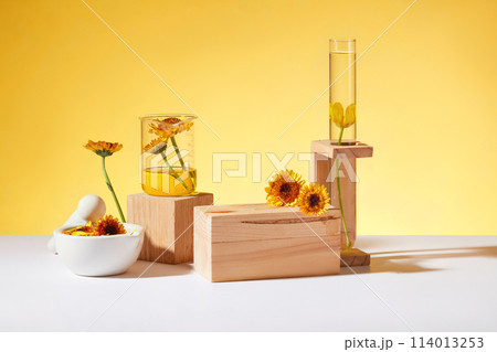 Geometric shaped wooden podiums arranged with a beaker and a test tube on rack containing oil extracted from Calendula flowers. Calendula extract is widely used in cosmetics Geometric shaped wooden podiums arranged with a beaker and a test tube on rack containing oil extracted from Calendula flowers. Calendula extract is widely used in cosmetics 114013253