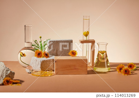 Front view of a wooden podium arranged with some rocks and laboratory glassware. Brown surface. Calendula has been used to treat a variety of skin conditions Front view of a wooden podium arranged with some rocks and laboratory glassware. Brown surface. Calendula has been used to treat a variety of skin conditions 114013269