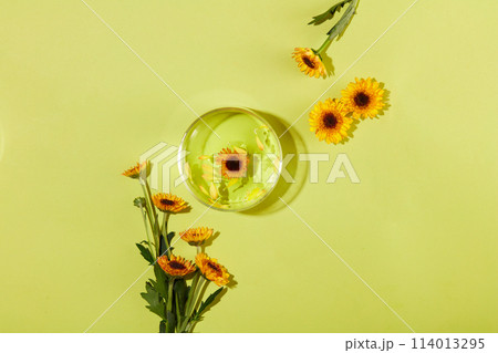 Flat lay of a glass bowl with fluid extracted from Calendula flowers filled inside. Pastel green background. Calendula promotes healing and prevents infection in wounds Flat lay of a glass bowl with fluid extracted from Calendula flowers filled inside. Pastel green background. Calendula promotes healing and prevents infection in wounds 114013295