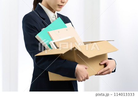 荷物を持ち移動するビジネスウーマン 114013333