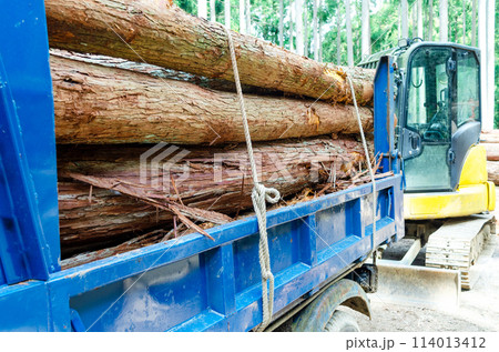 ロープで荷掛けされた丸太を積載したトラックの荷台 ロープで荷掛けされた丸太を積載したトラックの荷台 114013412