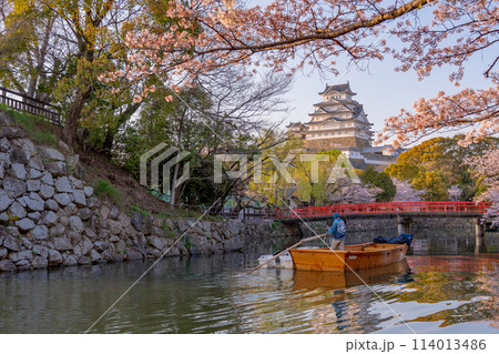 兵庫県姫路市　姫路城と桜　営業が終わった和船をしまいに行く船頭さん 114013486