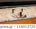 囲炉裏の炭火 114013720