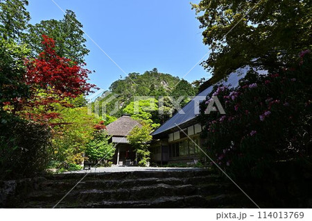 新緑の岩瀧寺 新緑の岩瀧寺 114013769