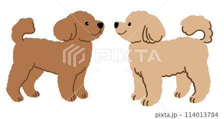 トイプードルのイラスト(2匹) トイプードルのイラスト(2匹) 114013784