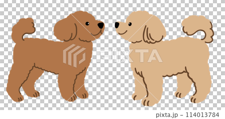 トイプードルのイラスト(2匹) トイプードルのイラスト(2匹) 114013784