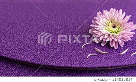 紫色の背景に菊の花　花の和風背景素材 114013814