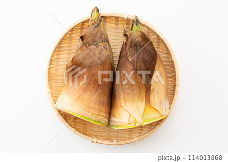 白バックのたけのこ 114013868