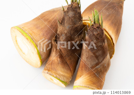 白バックのたけのこ 114013869