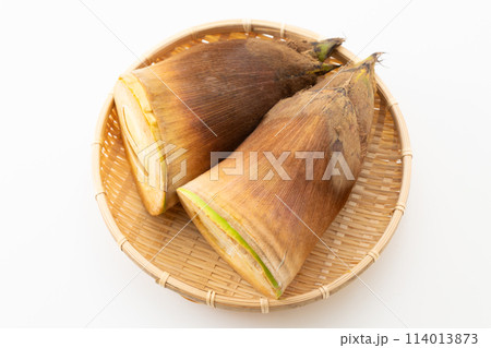 白バックのたけのこ 114013873