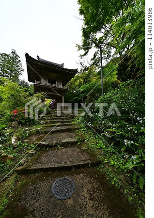 新緑の岩瀧寺 新緑の岩瀧寺 114013986