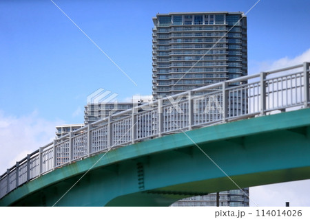 辰巳の森歩道橋(東京都江東区) 辰巳の森歩道橋(東京都江東区) 114014026
