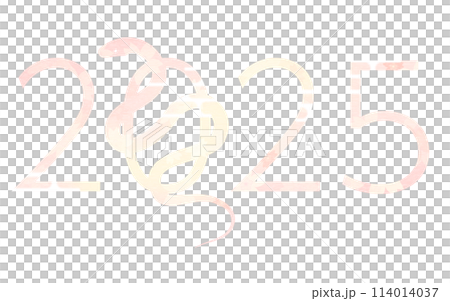 2025年巳年の年賀状素材、2025の数字と蛇の花柄シルエット 114014037