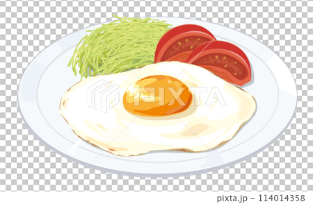 Illustration of fried egg 114014358