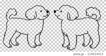 トイプードルのイラスト(2匹、線画のみ) トイプードルのイラスト(2匹、線画のみ) 114014413